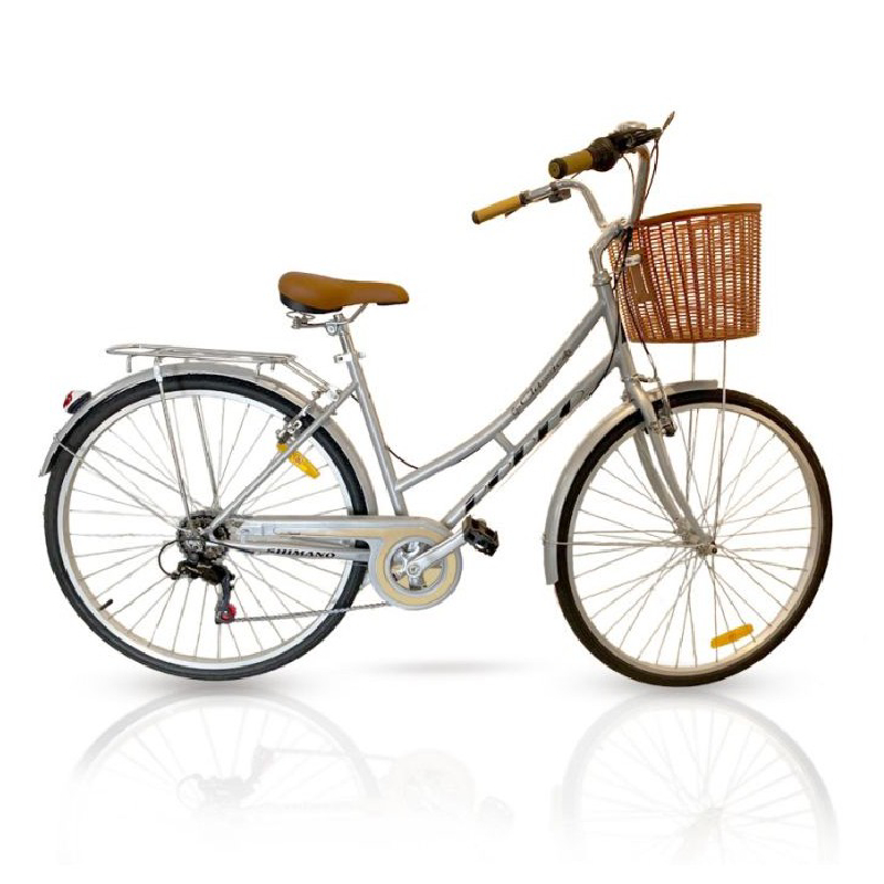 Vélo de Ville RODEO 26Pouces - 6026 C6V - GRIS